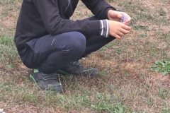 18