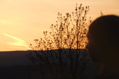 hdimg81a67d5189ea6c2b0ed72704cbb2ed