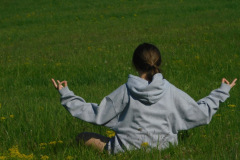 hdimgf47d75bf42225beda3b7a6a62f2bf6