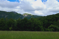 hdimg59e9faa26455135fe4ba2b5fb3898c