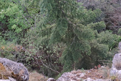 hdimgafeaab668abed24e98870a03358b61