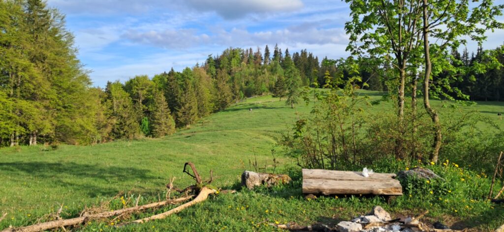 Za cvičnou DofE expedíciou! - ZŠ Narnia, Banská Bystrica
