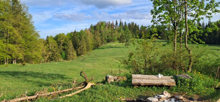 Za cvičnou DofE expedíciou! - ZŠ Narnia, Banská Bystrica