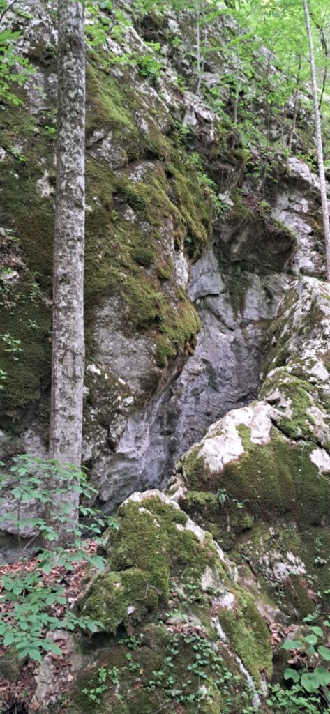 Za cvičnou DofE expedíciou! - ZŠ Narnia, Banská Bystrica