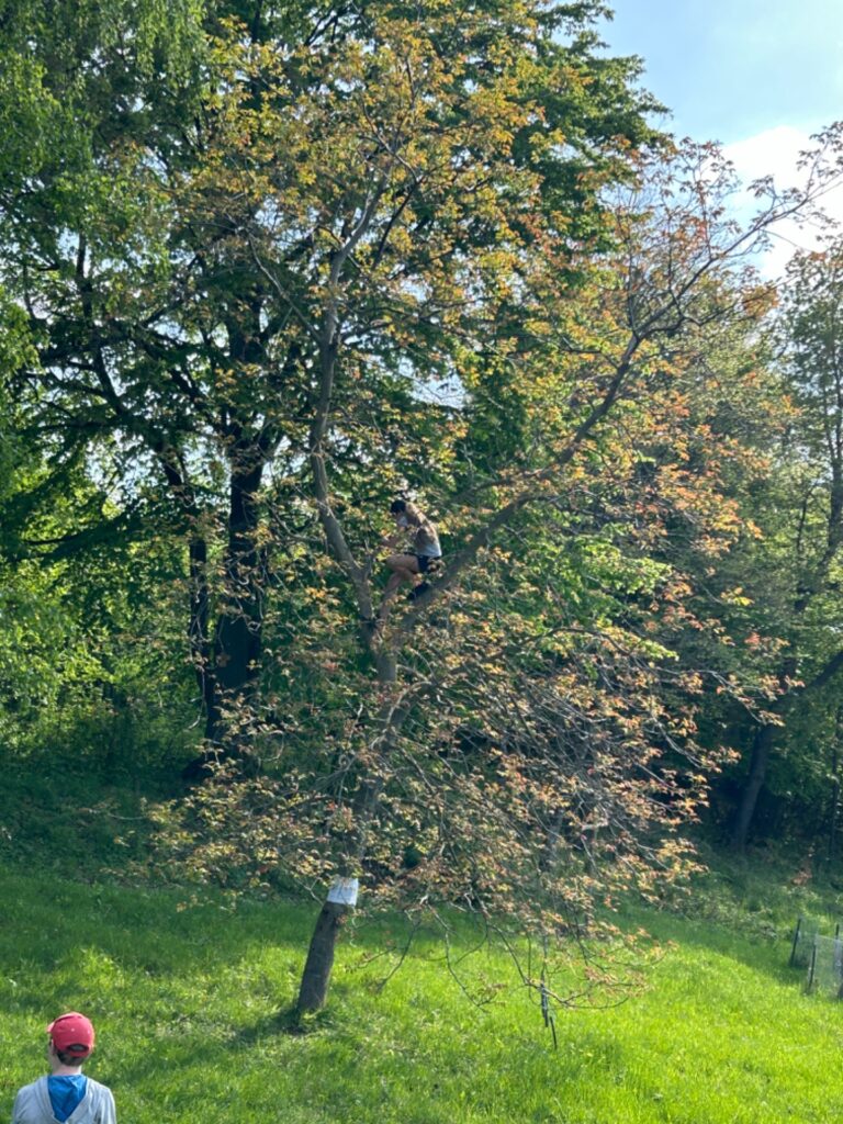 Vstúpili sme do Labyrintu - ZŠ Narnia, Banská Bystrica