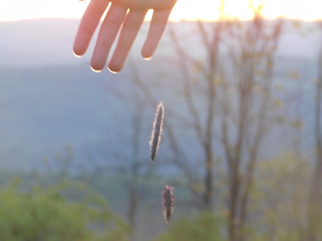 Vstúpili sme do Labyrintu - ZŠ Narnia, Banská Bystrica