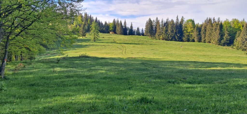 Za cvičnou DofE expedíciou! - ZŠ Narnia, Banská Bystrica