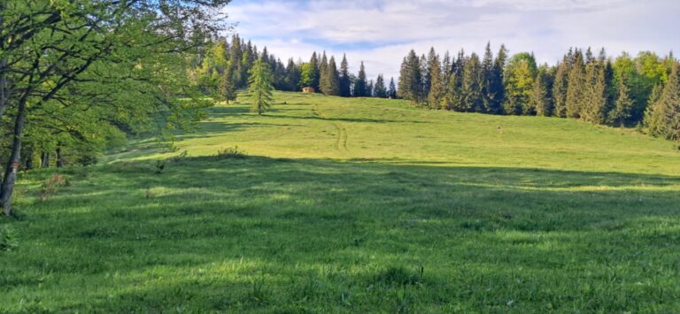 Za cvičnou DofE expedíciou! - ZŠ Narnia, Banská Bystrica