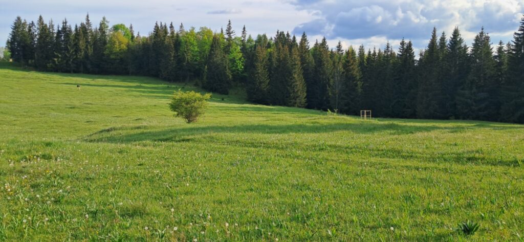 Za cvičnou DofE expedíciou! - ZŠ Narnia, Banská Bystrica