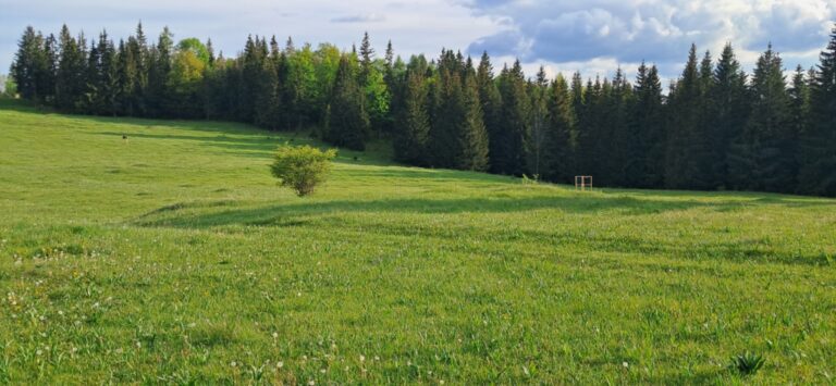 Za cvičnou DofE expedíciou! - ZŠ Narnia, Banská Bystrica