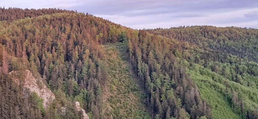 Za cvičnou DofE expedíciou! - ZŠ Narnia, Banská Bystrica