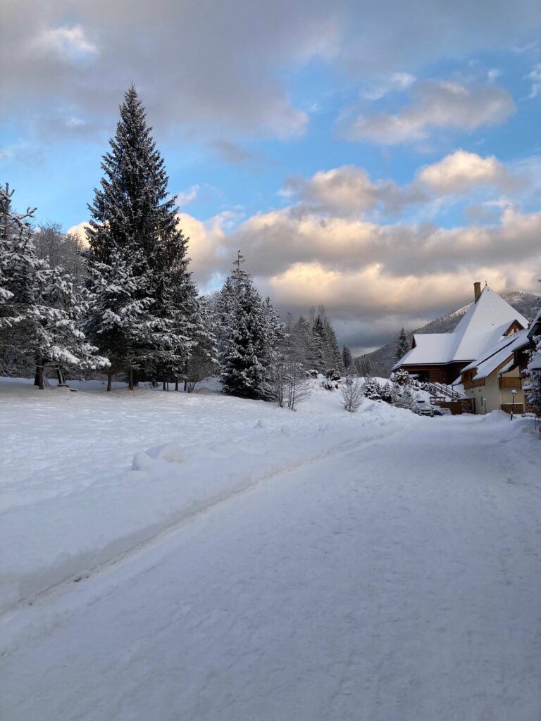 Aj vy ste túto zimu lyžovali? - ZŠ Narnia, Banská Bystrica