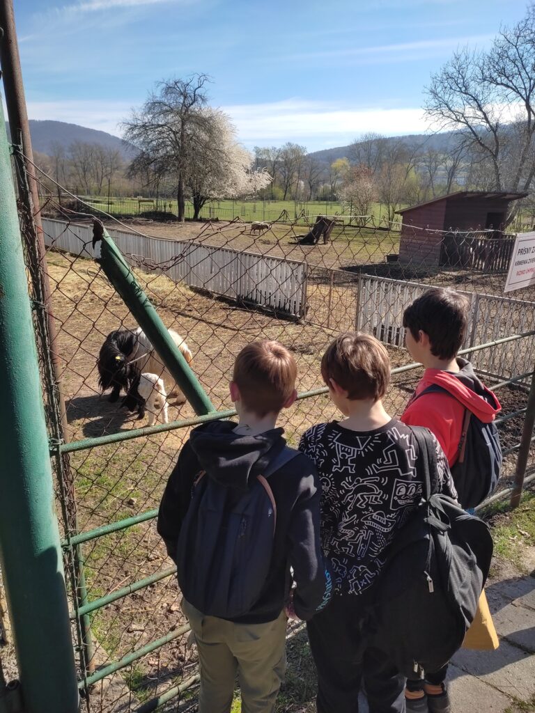 Videli sme hviezdy za jasného dňa - ZŠ Narnia, Banská Bystrica