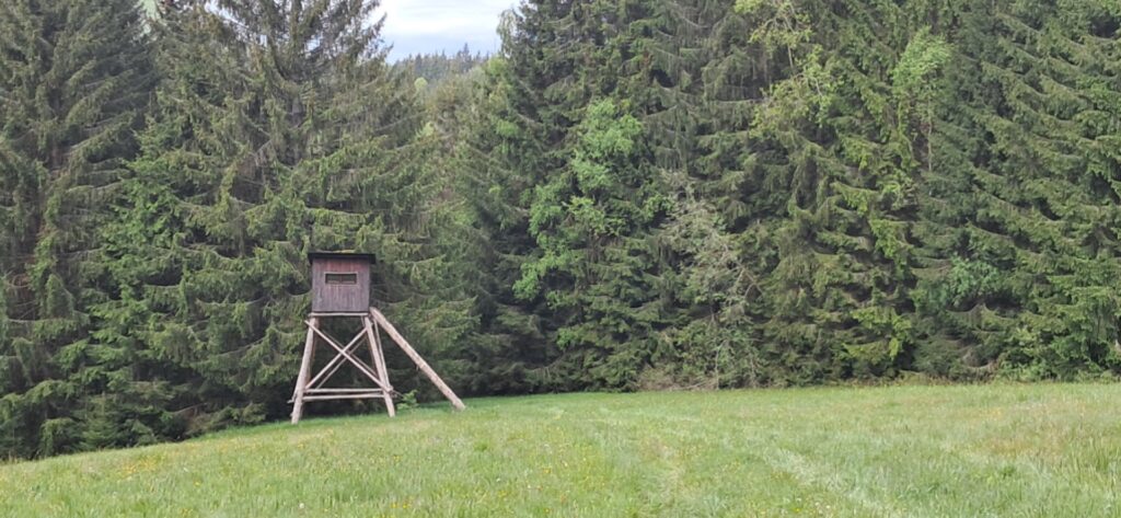 Za cvičnou DofE expedíciou! - ZŠ Narnia, Banská Bystrica