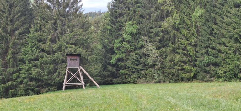 Za cvičnou DofE expedíciou! - ZŠ Narnia, Banská Bystrica