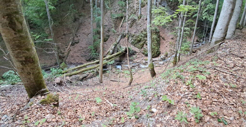 Za cvičnou DofE expedíciou! - ZŠ Narnia, Banská Bystrica