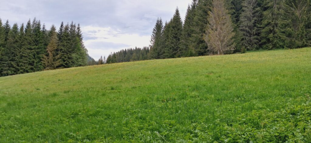 Za cvičnou DofE expedíciou! - ZŠ Narnia, Banská Bystrica