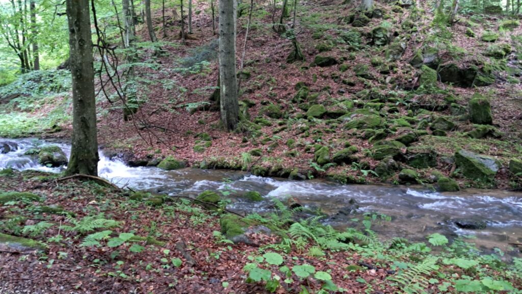 Posledná expedícia, ale už naostro ! - ZŠ Narnia, Banská Bystrica