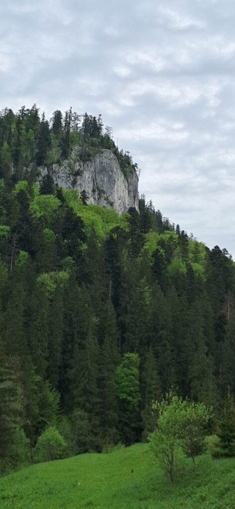 Za cvičnou DofE expedíciou! - ZŠ Narnia, Banská Bystrica
