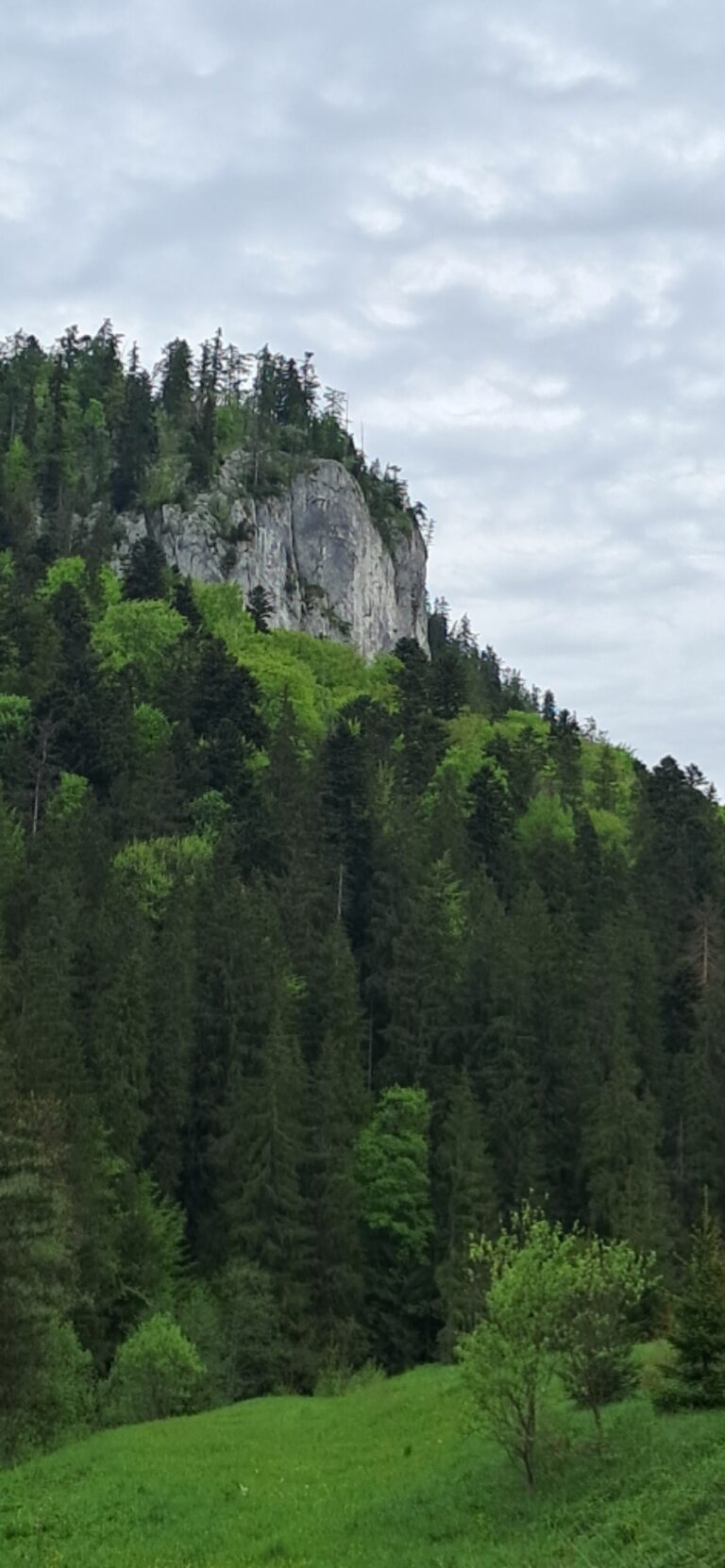 Za cvičnou DofE expedíciou! - ZŠ Narnia, Banská Bystrica