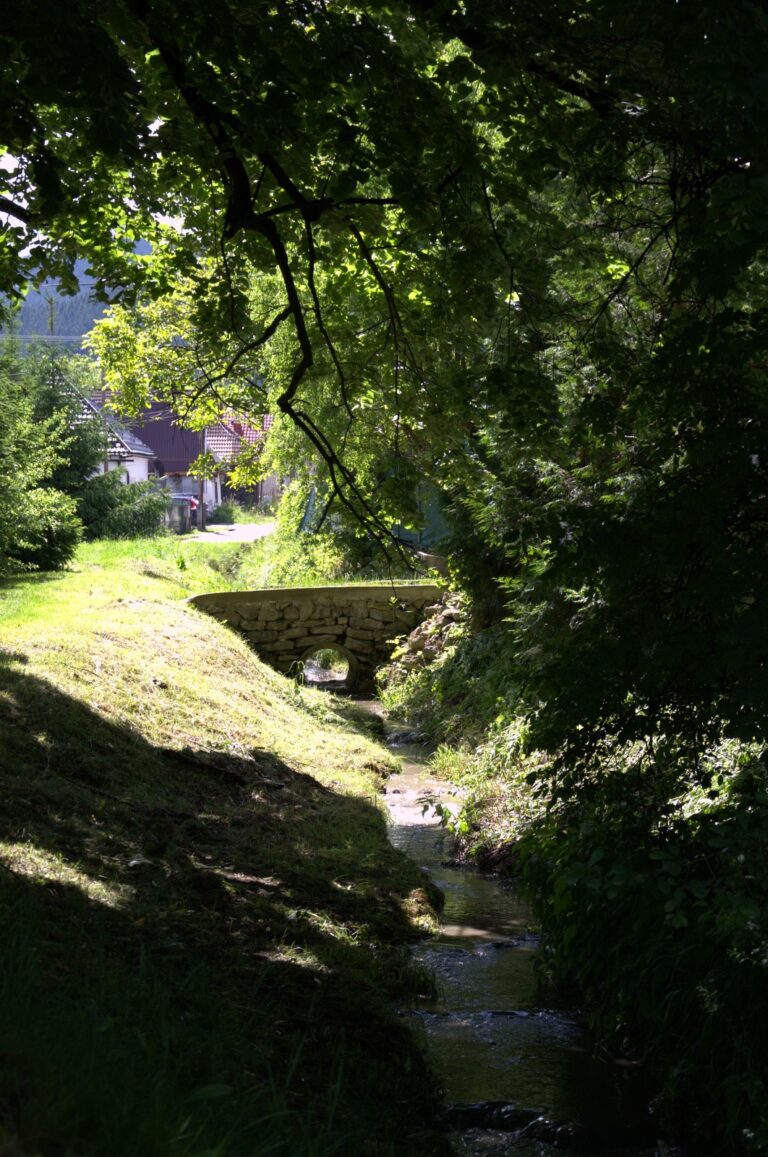 Mediálny klan sa vzdelával, hodnotil a plánoval - ZŠ Narnia, Banská Bystrica
