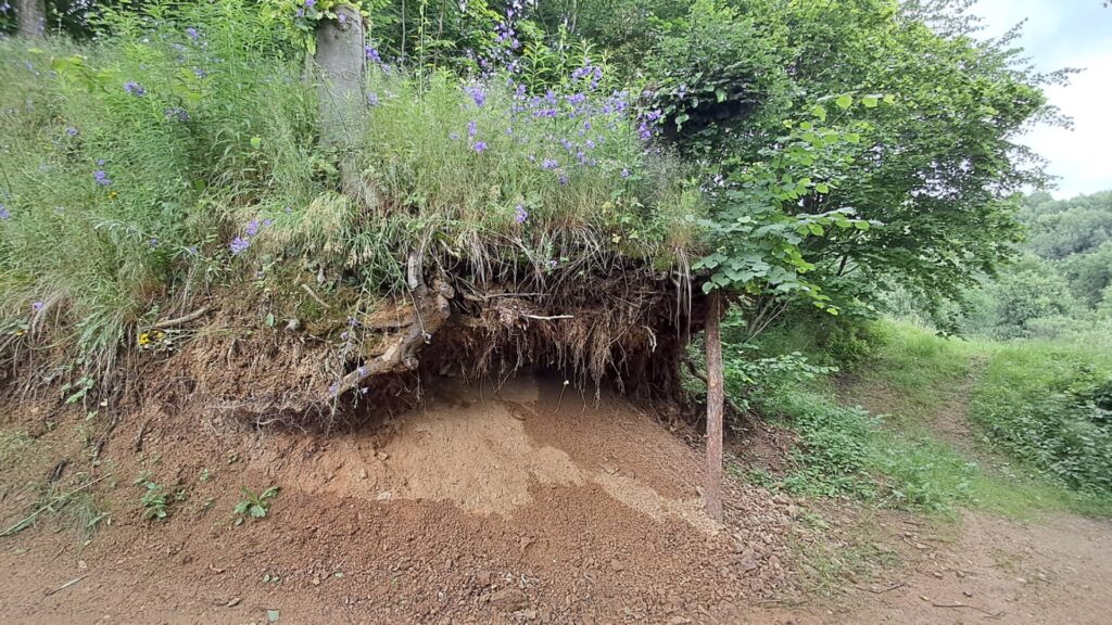 Posledná expedícia, ale už naostro ! - ZŠ Narnia, Banská Bystrica