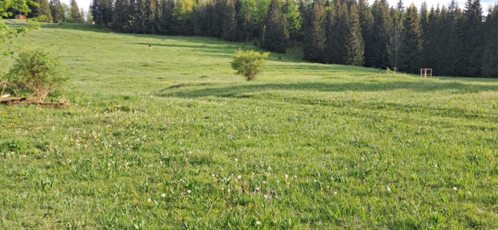 Za cvičnou DofE expedíciou! - ZŠ Narnia, Banská Bystrica
