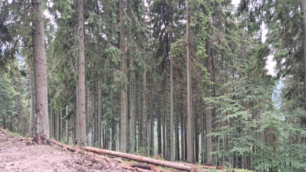 Posledná expedícia, ale už naostro ! - ZŠ Narnia, Banská Bystrica