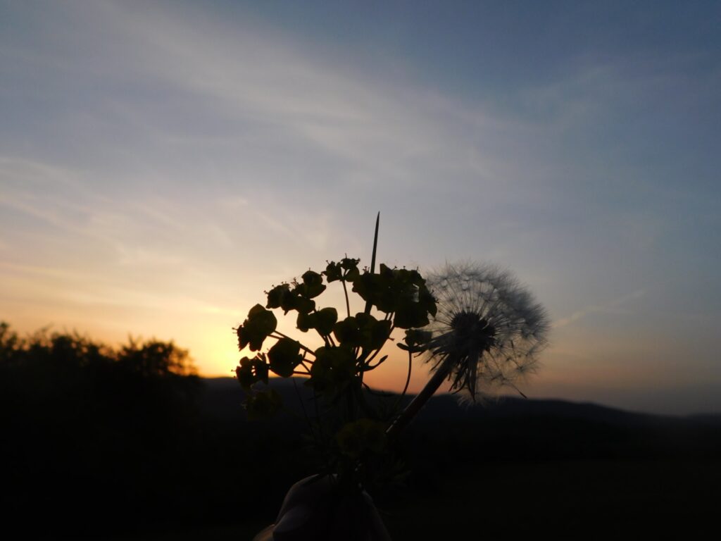 Vstúpili sme do Labyrintu - ZŠ Narnia, Banská Bystrica