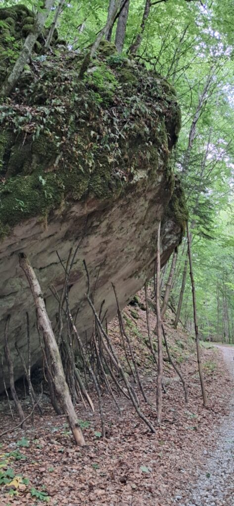 Za cvičnou DofE expedíciou! - ZŠ Narnia, Banská Bystrica