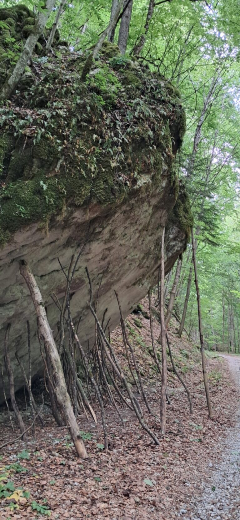 Za cvičnou DofE expedíciou! - ZŠ Narnia, Banská Bystrica