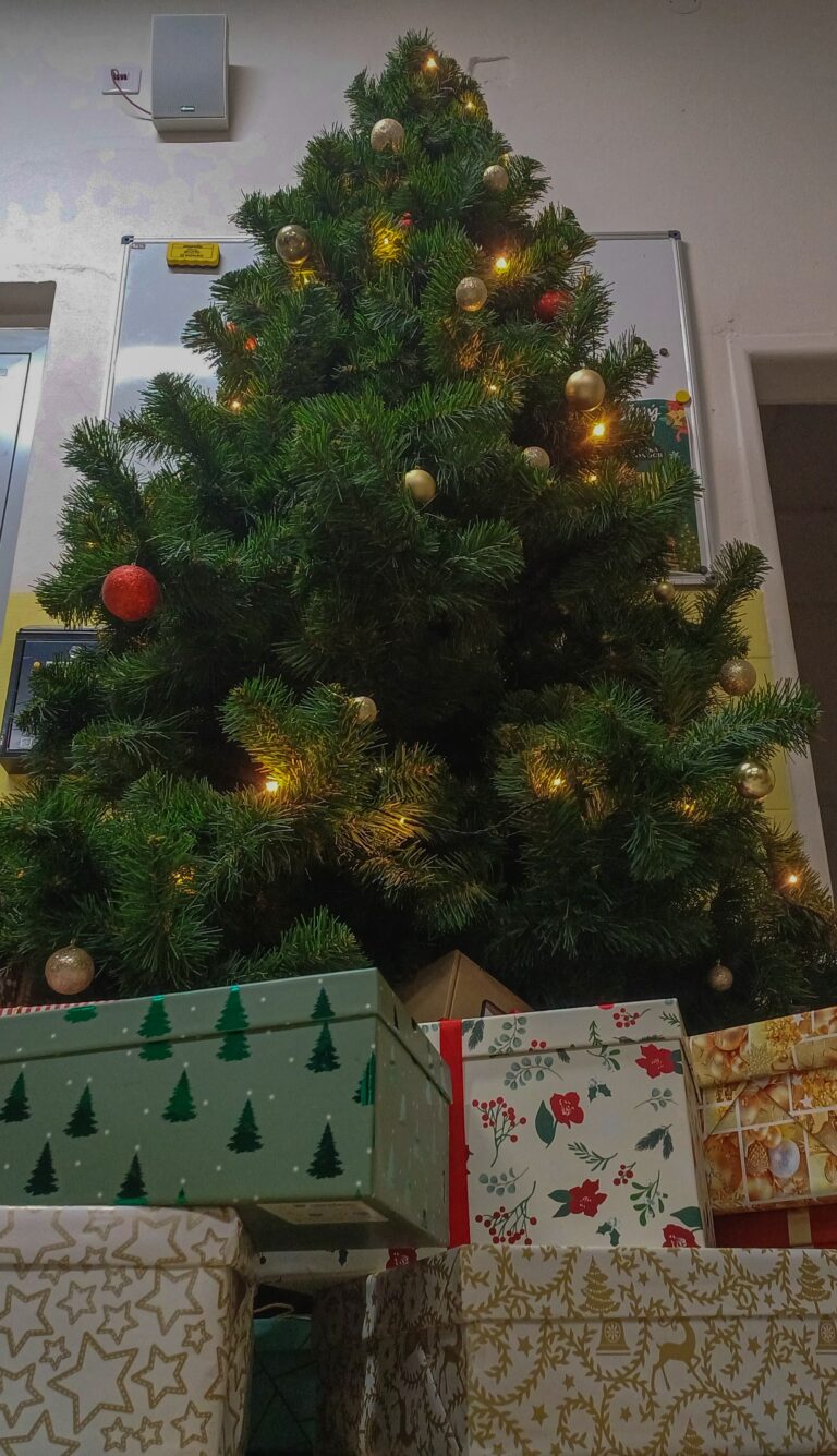 Vianočný dom - ZŠ NARNIA BB