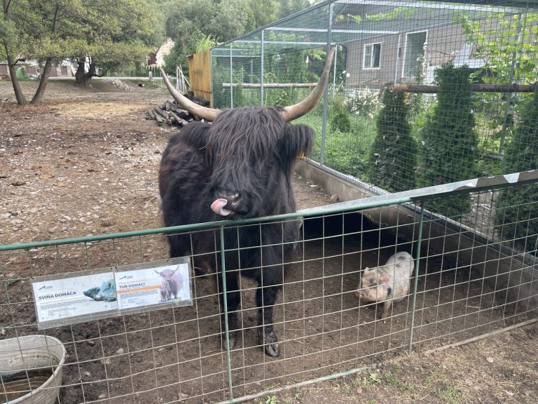 Prvé dni boli zaujímavé